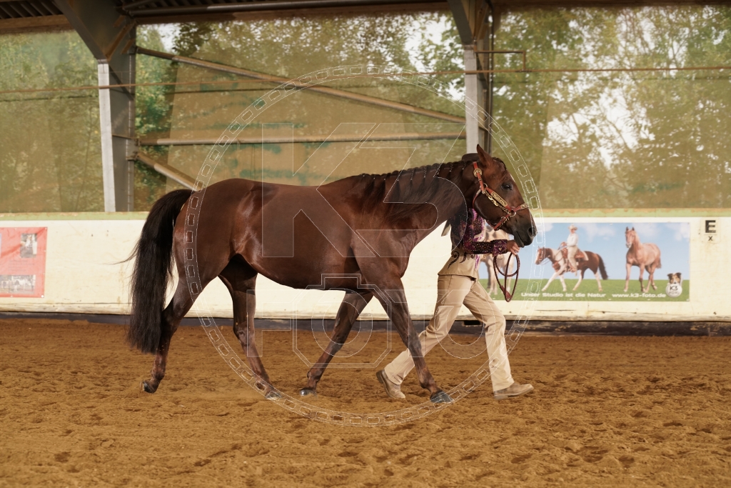 s_K3F04129.JPG